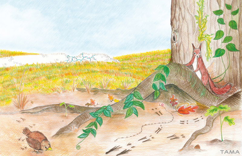 le petit moineau et l'ecureuil illustration traditionelle pour le livre Astray for a Day