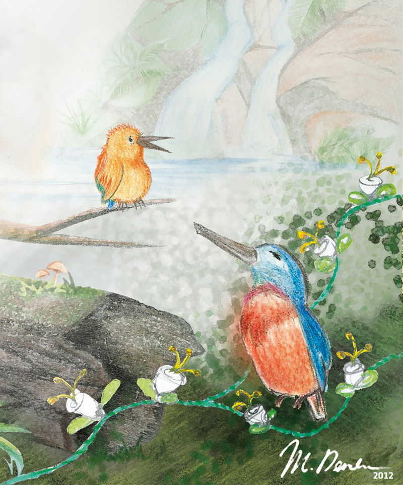 detail illustration traditionelle pour le livre Sunny Kingfisher